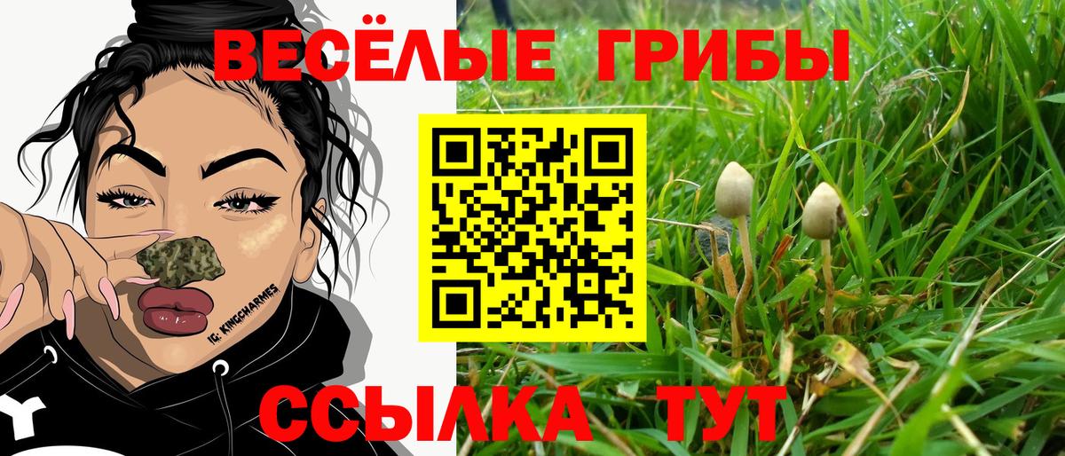 Псилоцибиновые грибы мухоморы Асино